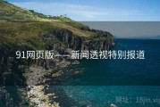 91网页版——新闻透视特别报道
