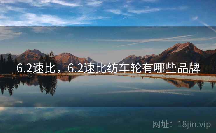 6.2速比，6.2速比纺车轮有哪些品牌
