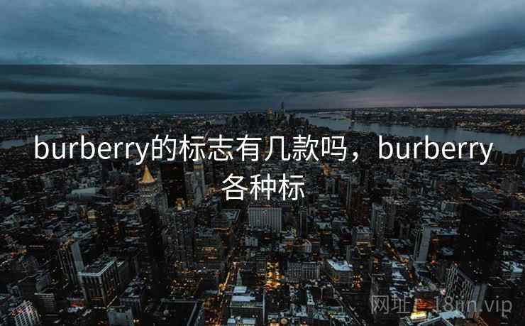 burberry的标志有几款吗，burberry各种标