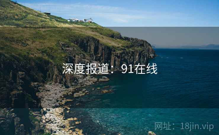 深度报道：91在线