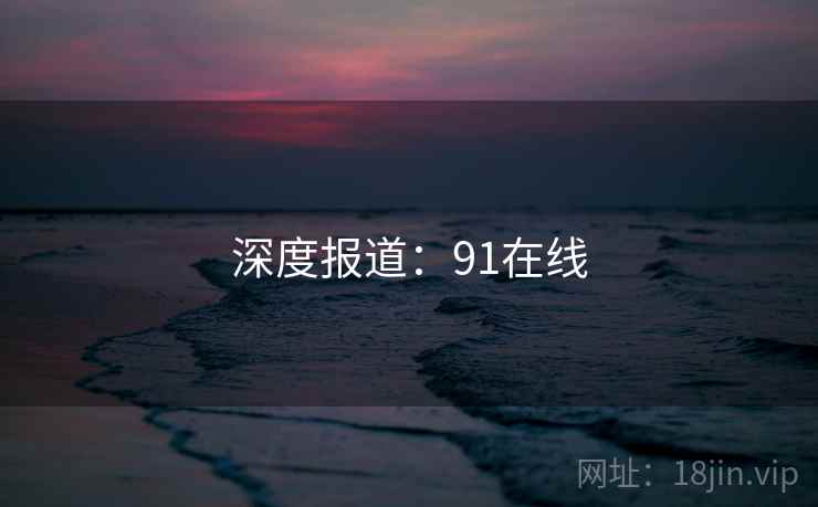 深度报道：91在线