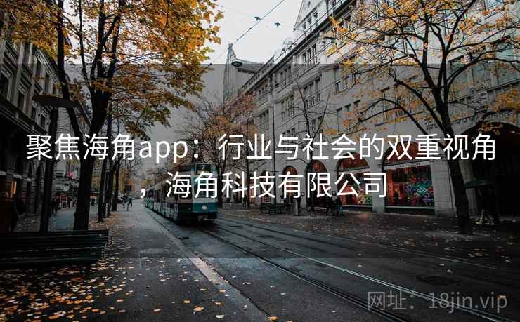 聚焦海角app：行业与社会的双重视角，海角科技有限公司