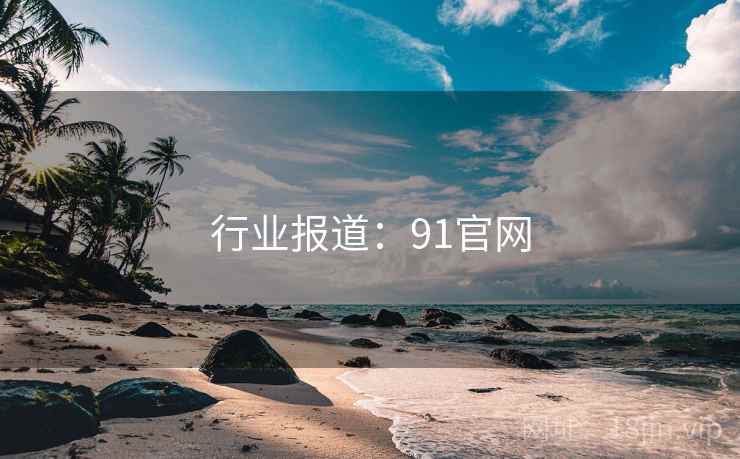 行业报道：91官网