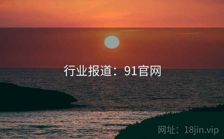 行业报道：91官网