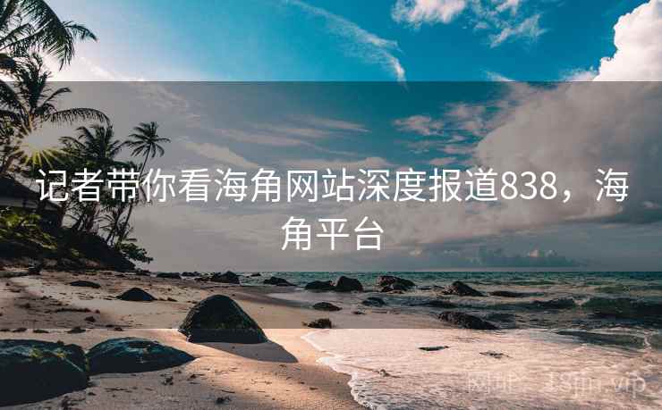 记者带你看海角网站深度报道838，海角平台